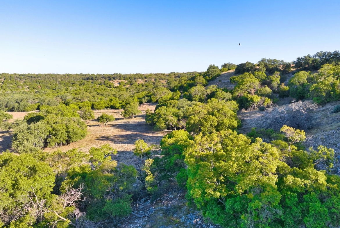 AASHAA Ranch