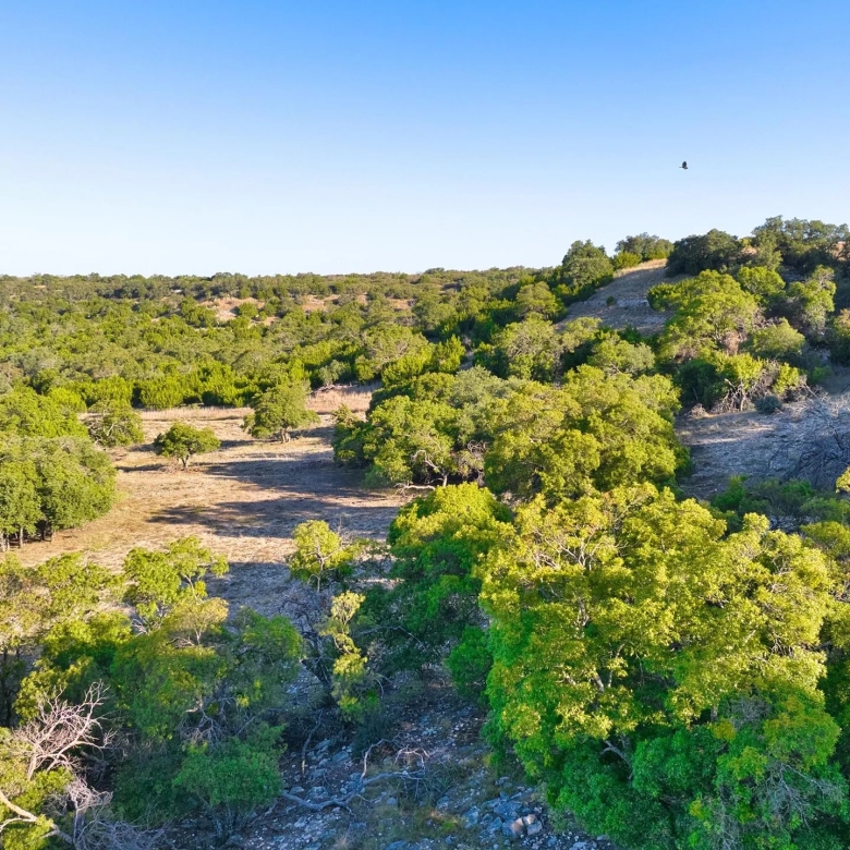 AASHAA Ranch