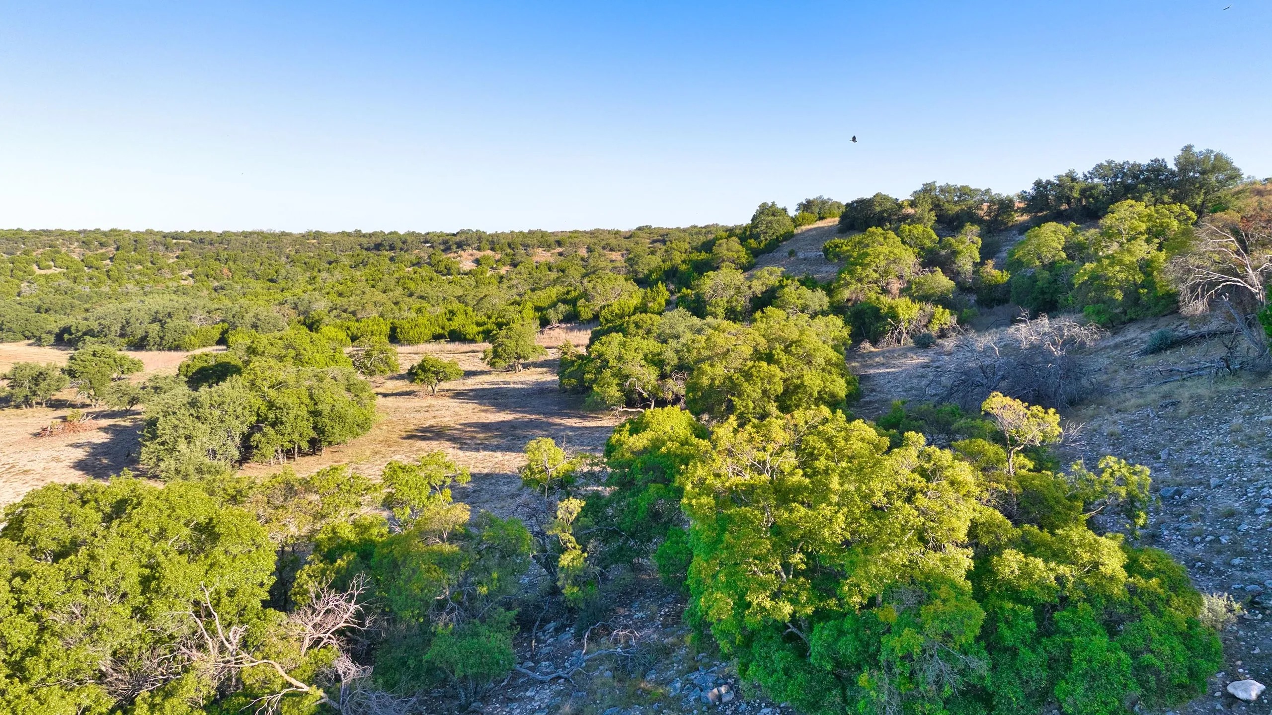 06-DJI_20251006084129_0039_D AASHAA Ranch