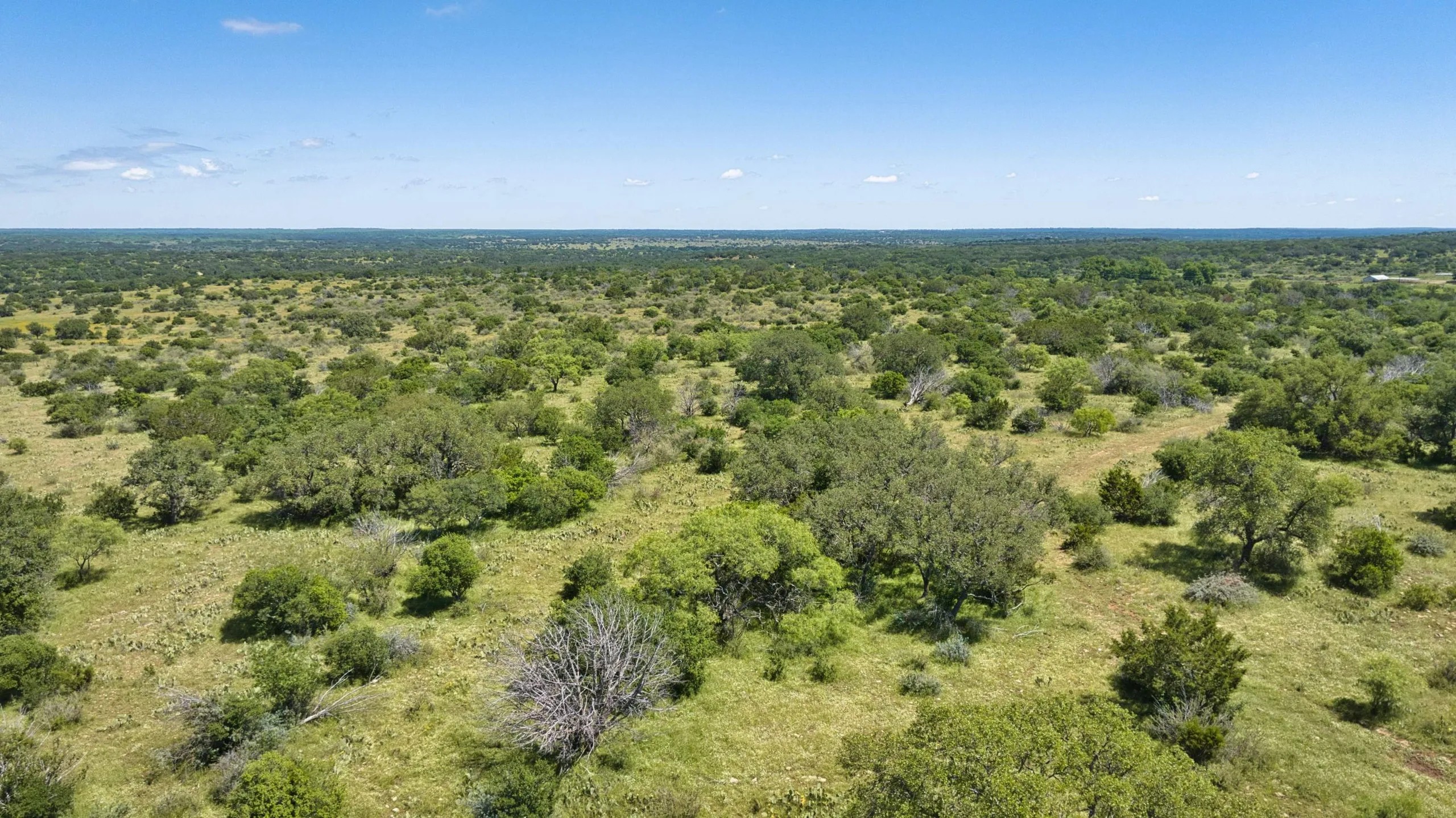 12-DJI_20260513004942_0014_D HIGH MESA RANCH