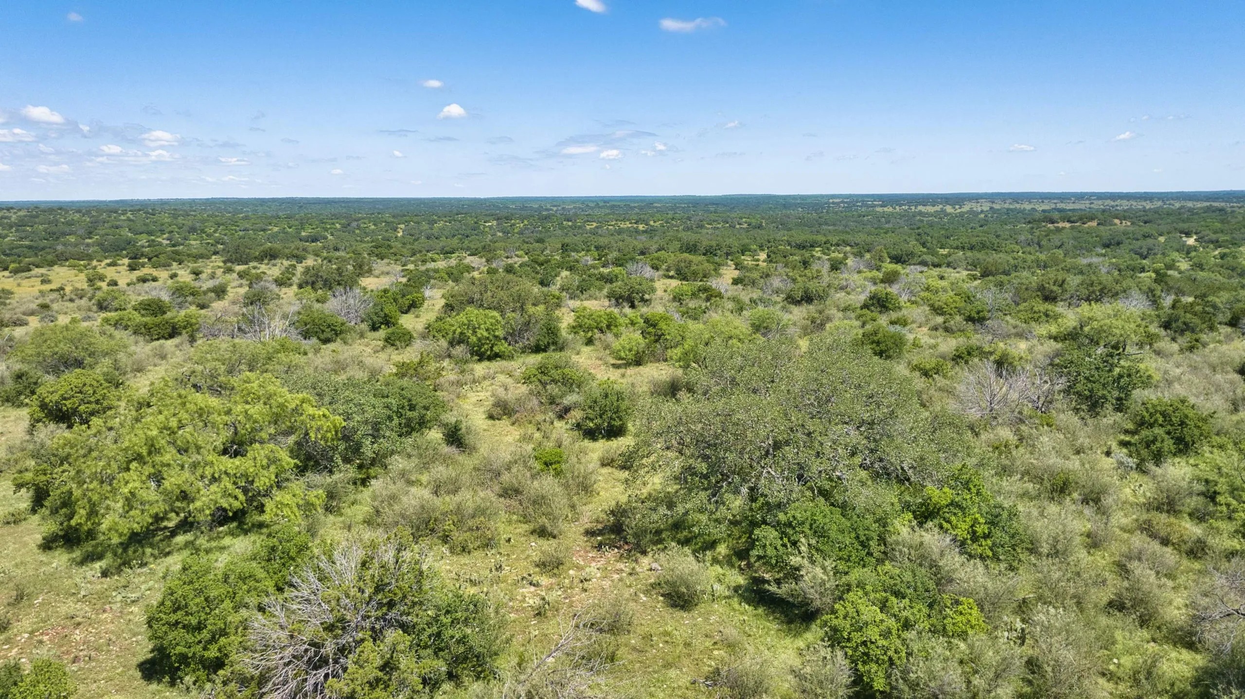 16-DJI_20260513005011_0022_D HIGH MESA RANCH