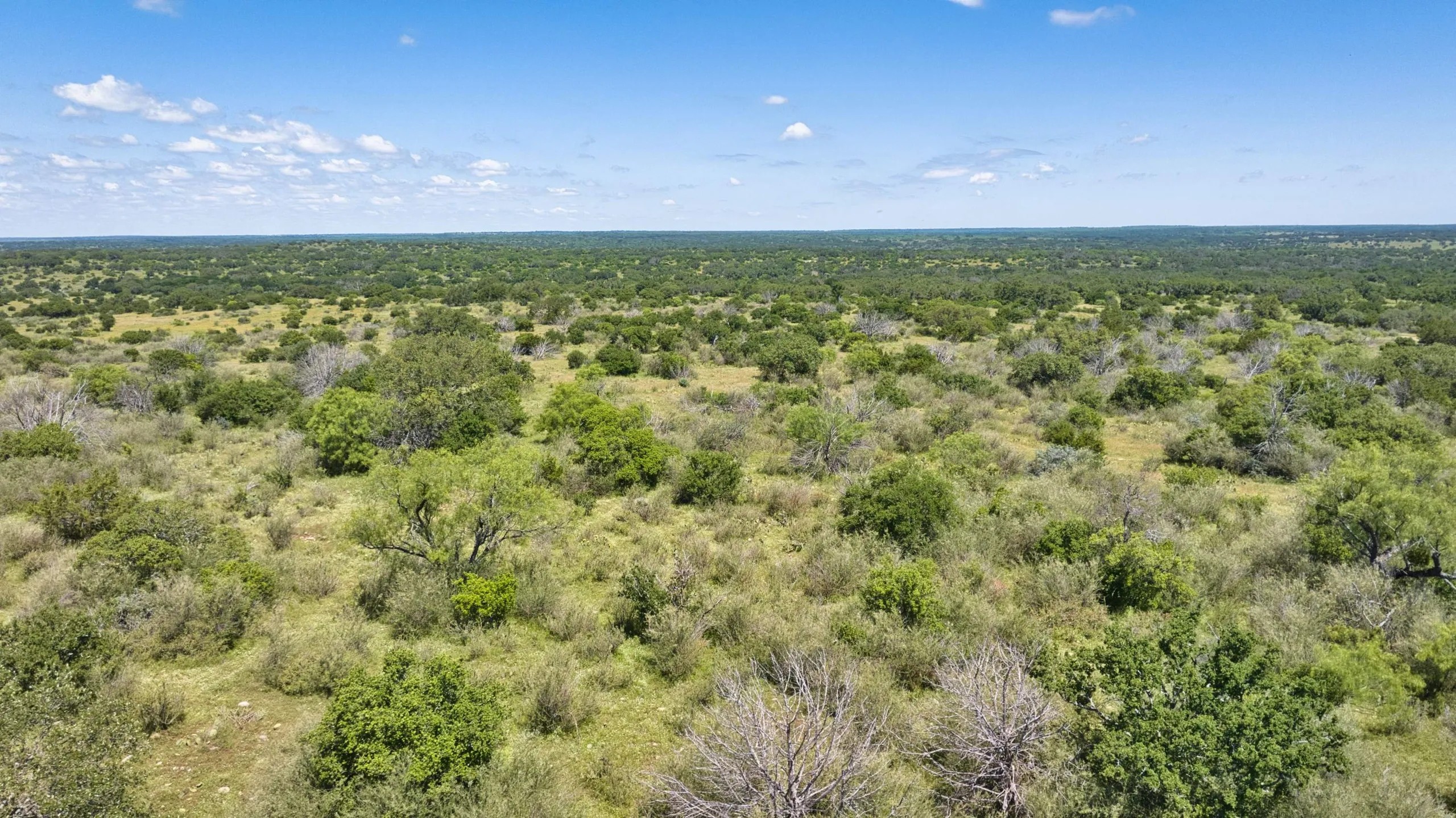17-DJI_20260513005013_0023_D HIGH MESA RANCH