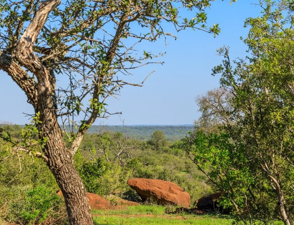 LOT 5 ART HEDWIGS HILL RD