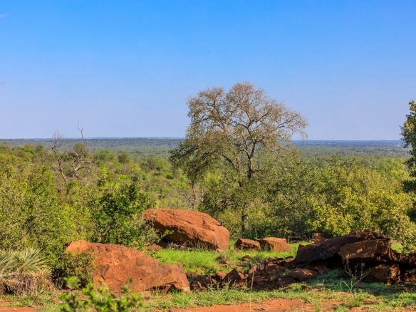 LOT 5 ART HEDWIGS HILL RD