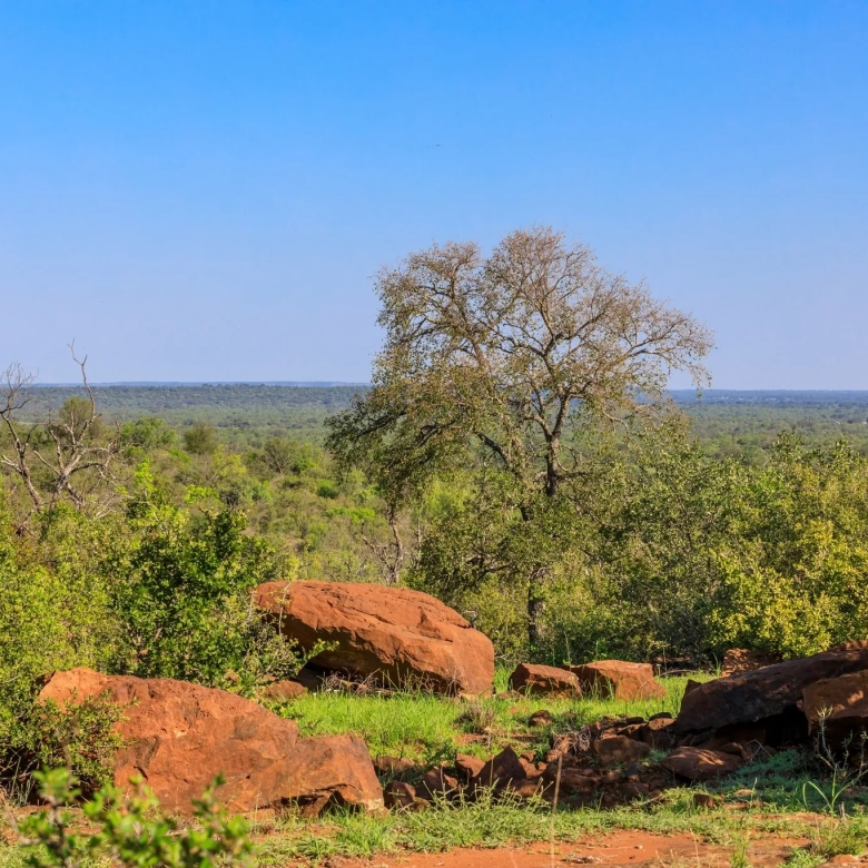 LOT 5 ART HEDWIGS HILL RD