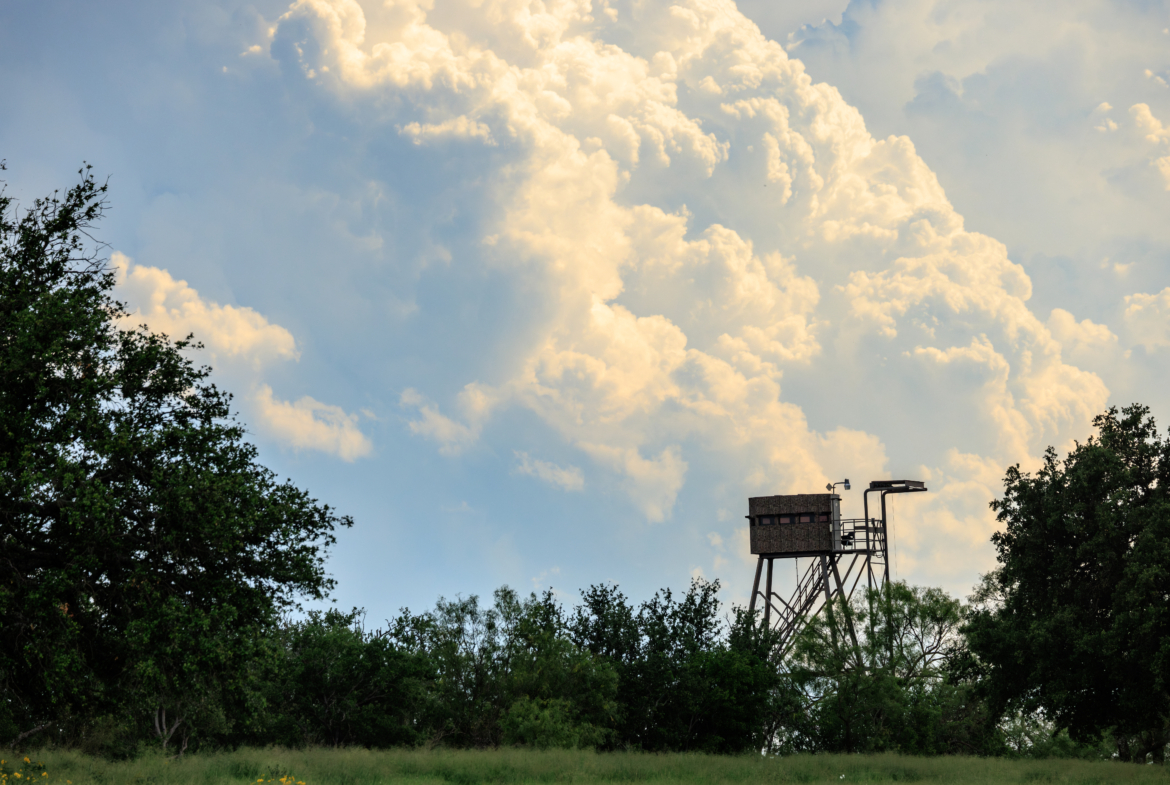 COMANCHE SPRINGS RANCH