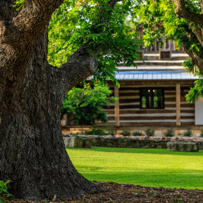 COMANCHE SPRINGS RANCH
