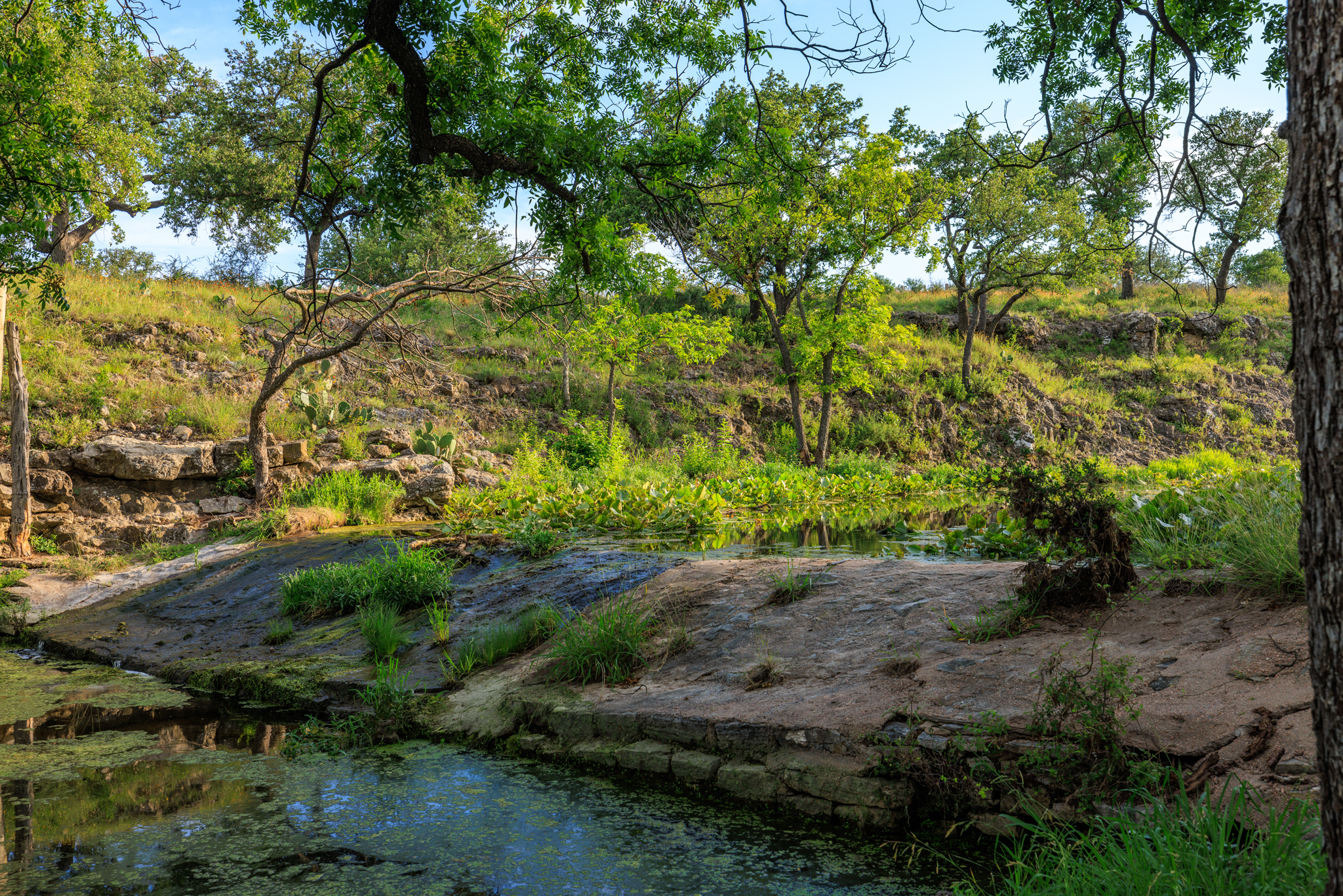 IMG_0278 COMANCHE SPRINGS RANCH