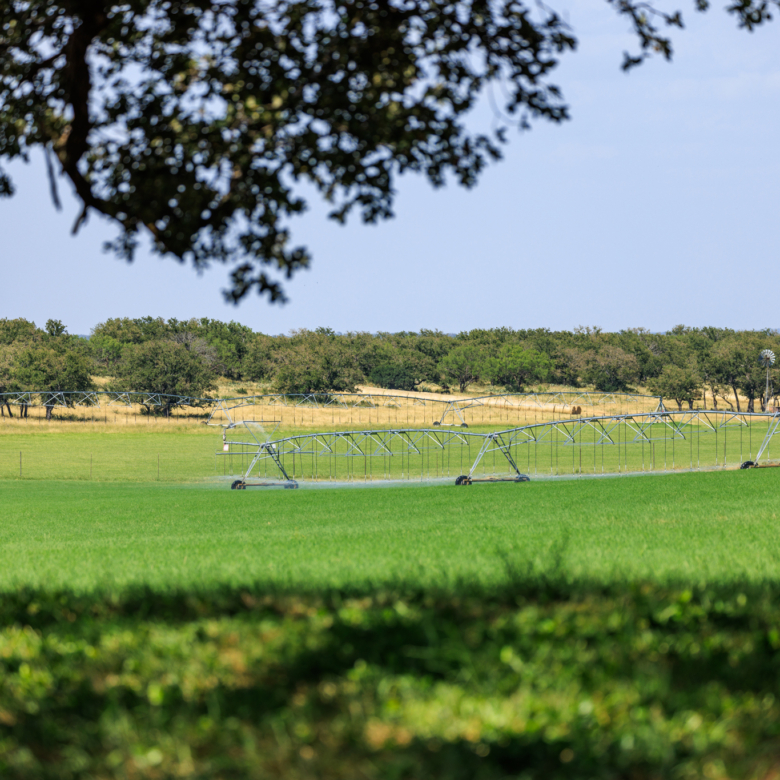 COMANCHE SPRINGS RANCH