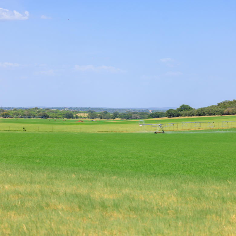 COMANCHE SPRINGS RANCH