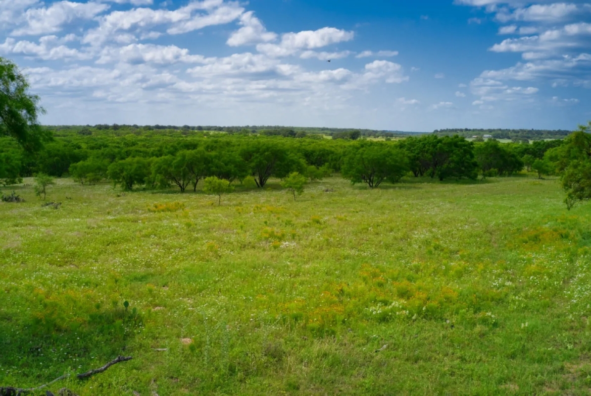 THE RANCH at Sandy Lane