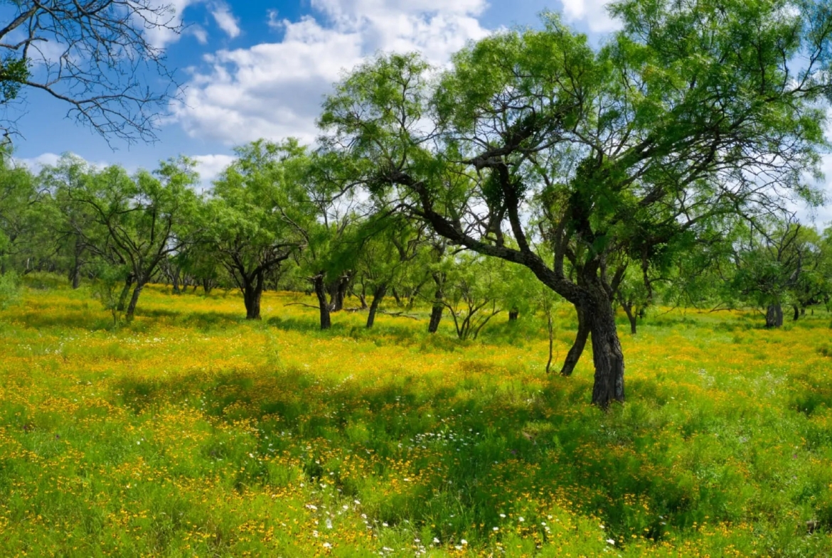 THE RANCH at Sandy Lane