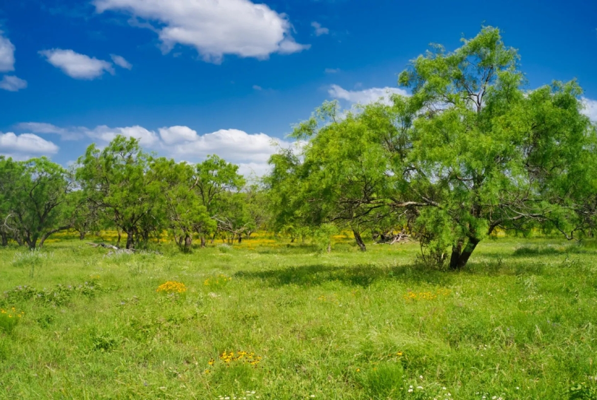 THE RANCH at Sandy Lane