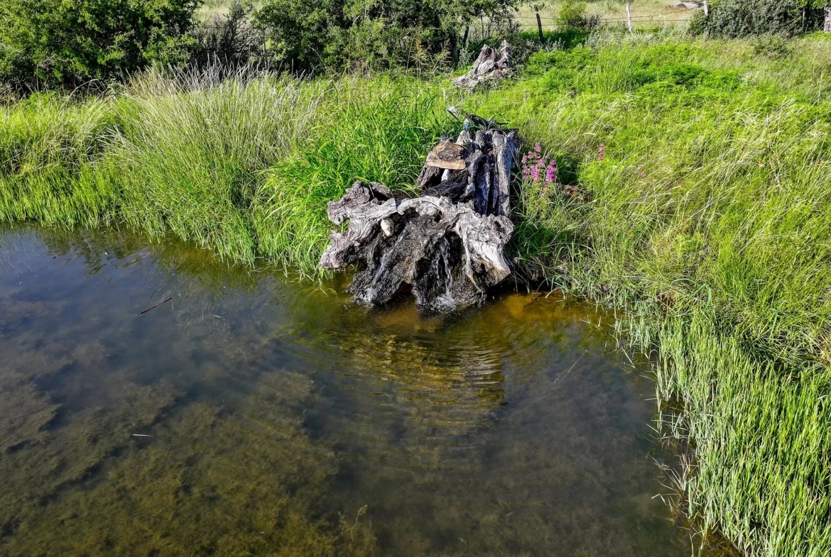 CORONA FALLS RANCH