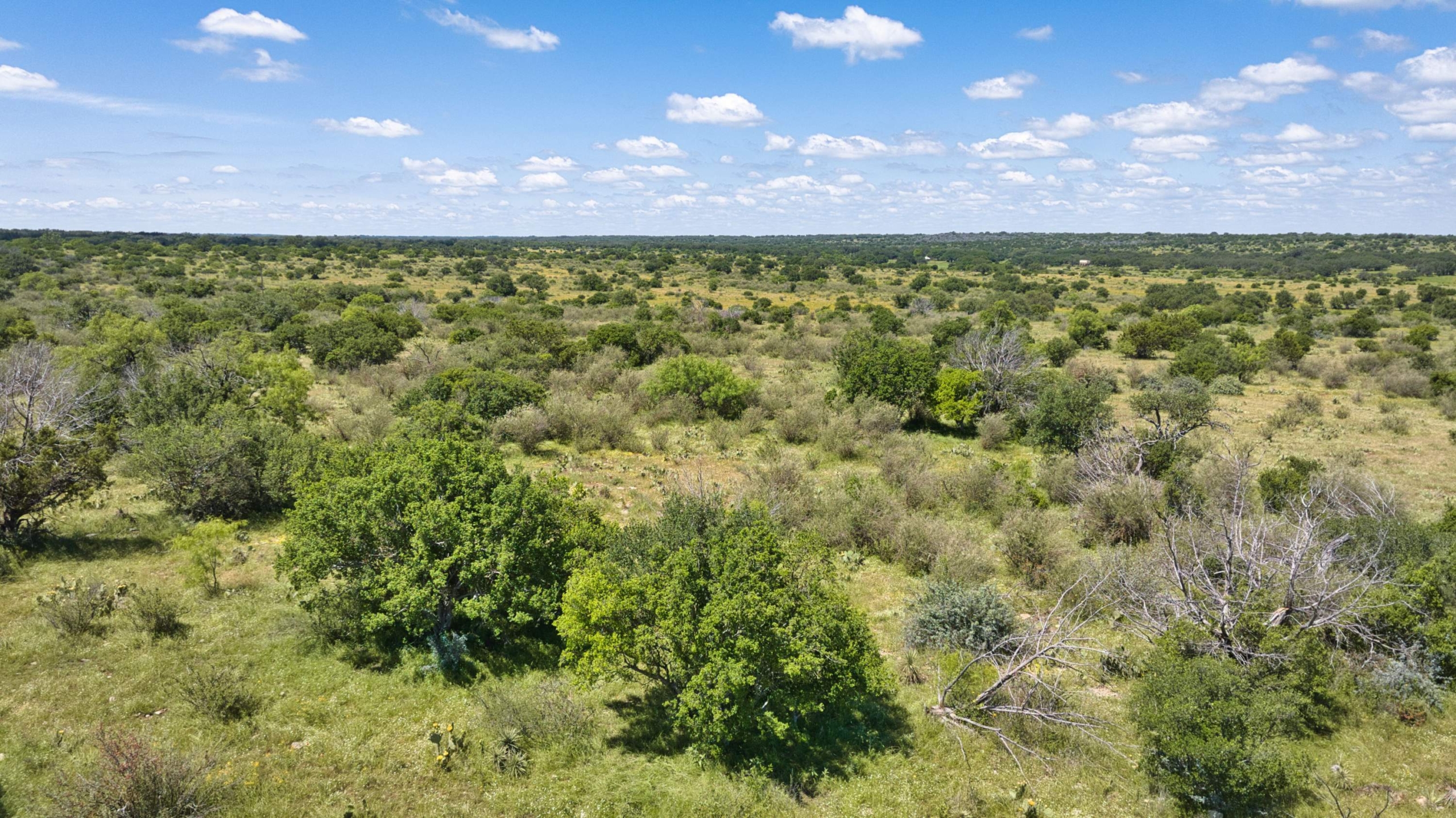 21-DJI_20260513005023_0027_D High Mesa Ranch