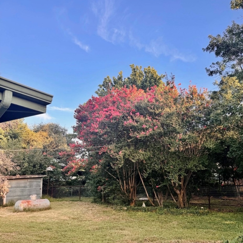 325 E Rainey Mason, TX