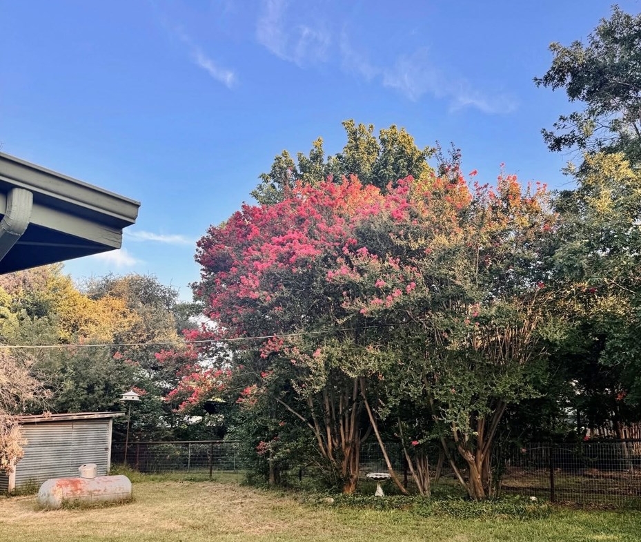 325 E Rainey Mason, TX