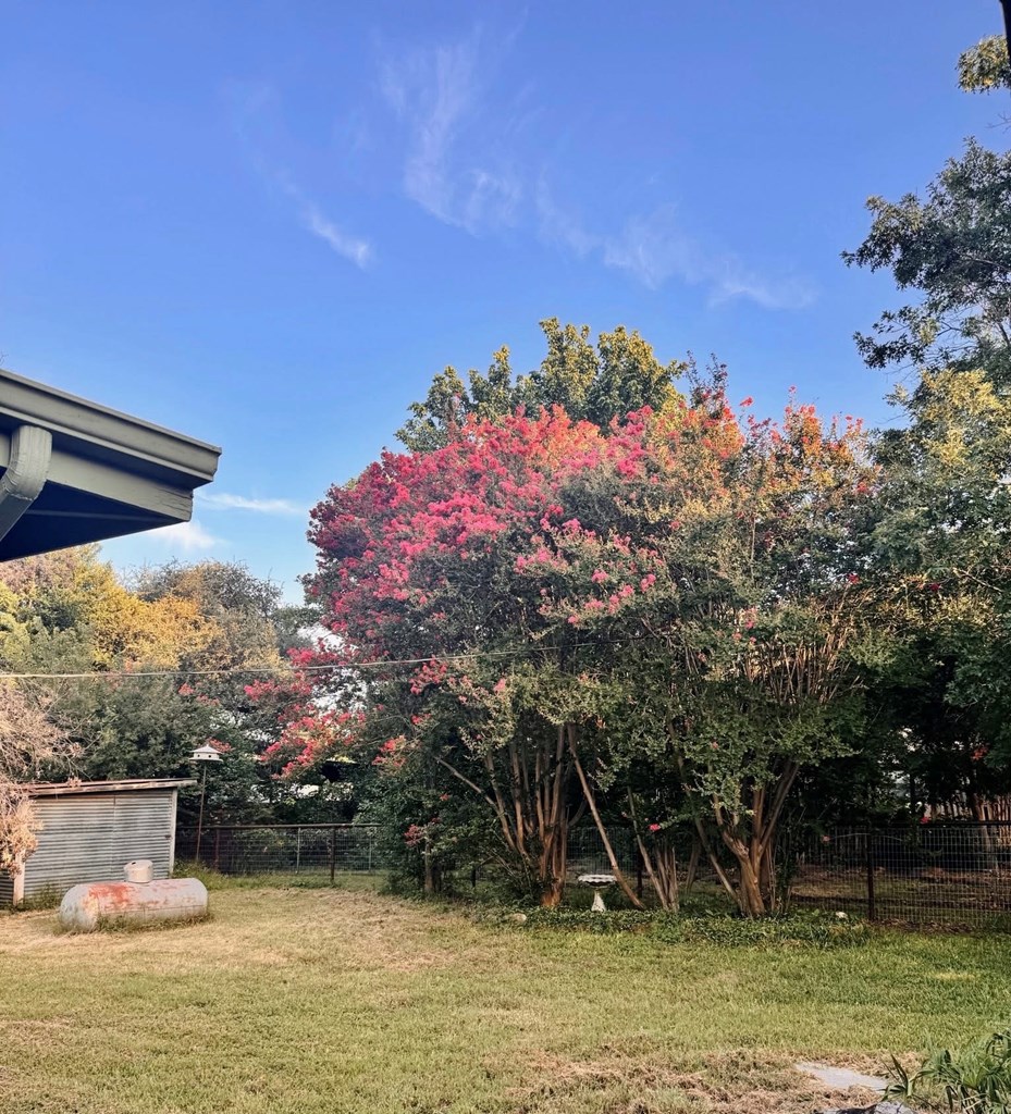 325 E Rainey Mason, TX