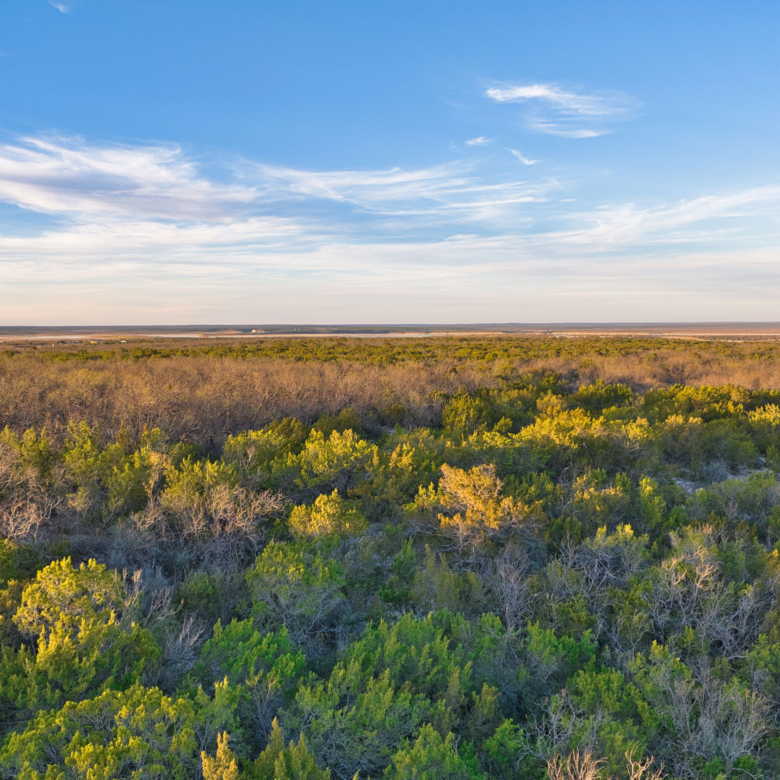 Lake Ivie Ranch