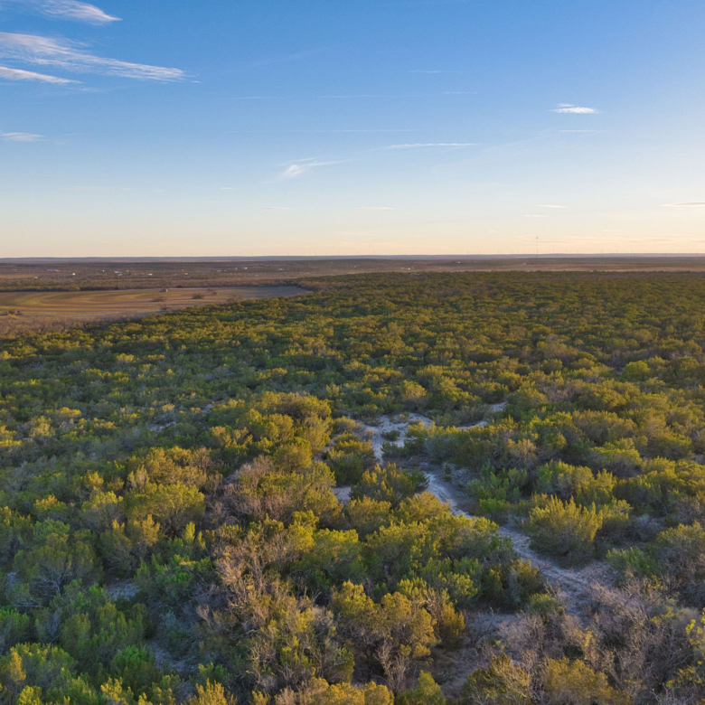 Lake Ivie Ranch
