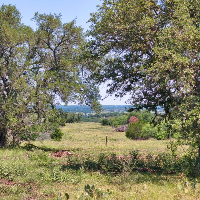 High Mesa Ranch