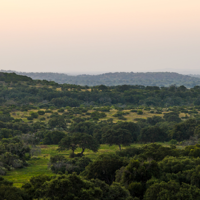 Upper Cherokee Creek Ranch