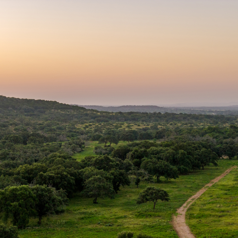Upper Cherokee Creek Ranch