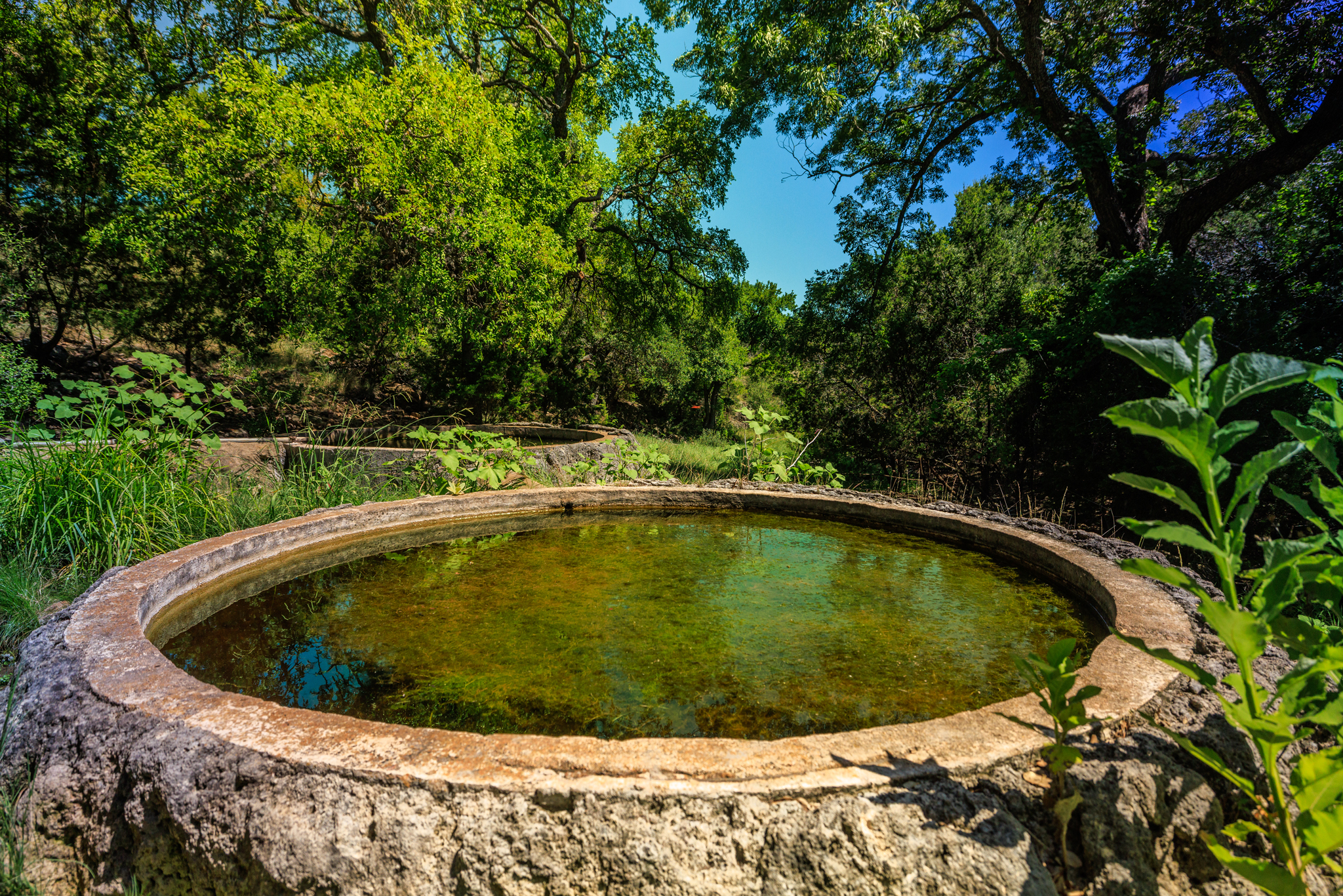 Upper Cherokee Creek Ranch