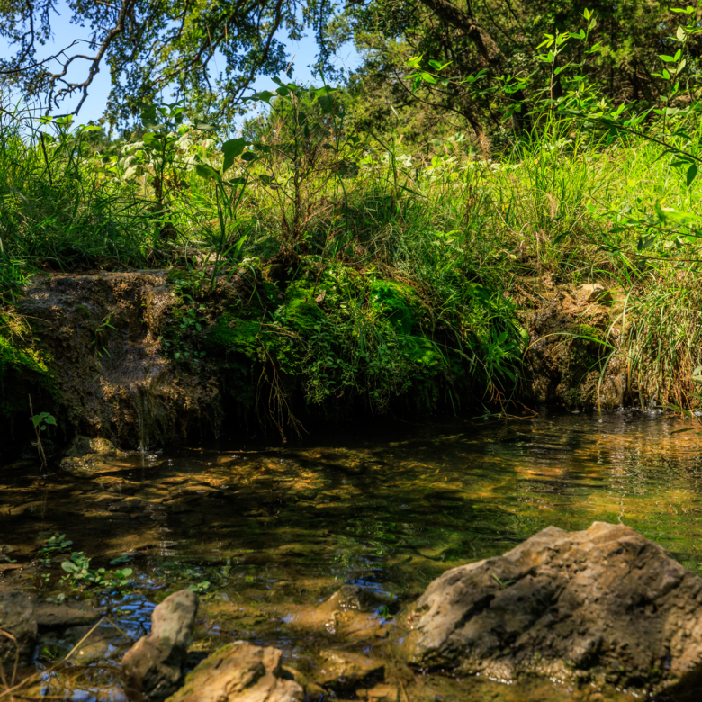 Upper Cherokee Creek Ranch