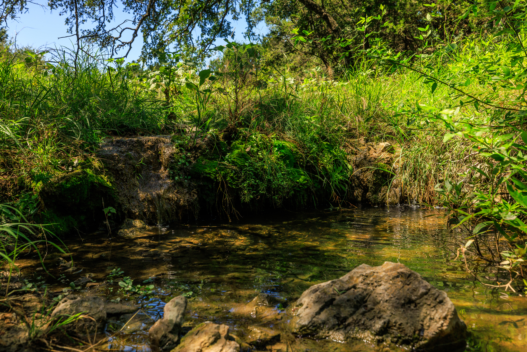 Upper Cherokee Creek Ranch