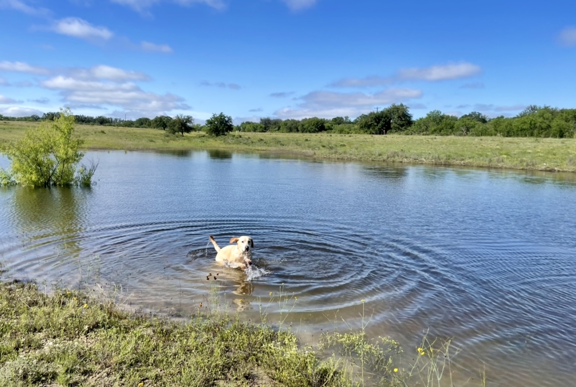 1456 US Hwy 283 | Brady, TX | McCulloch County