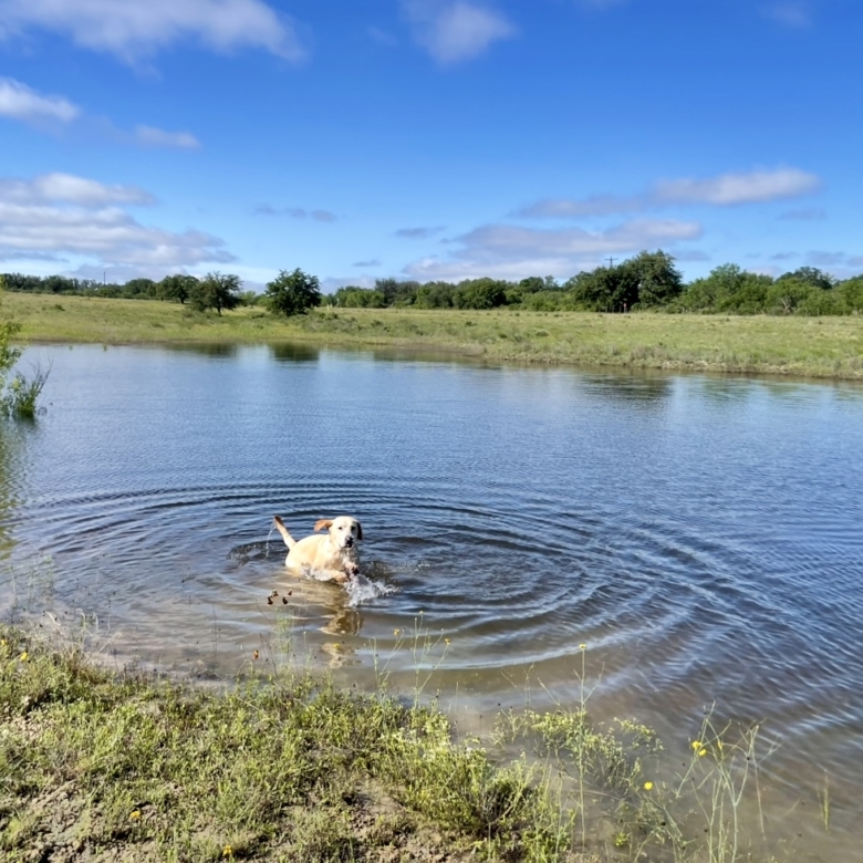 1456 US Hwy 283 | Brady, TX | McCulloch County