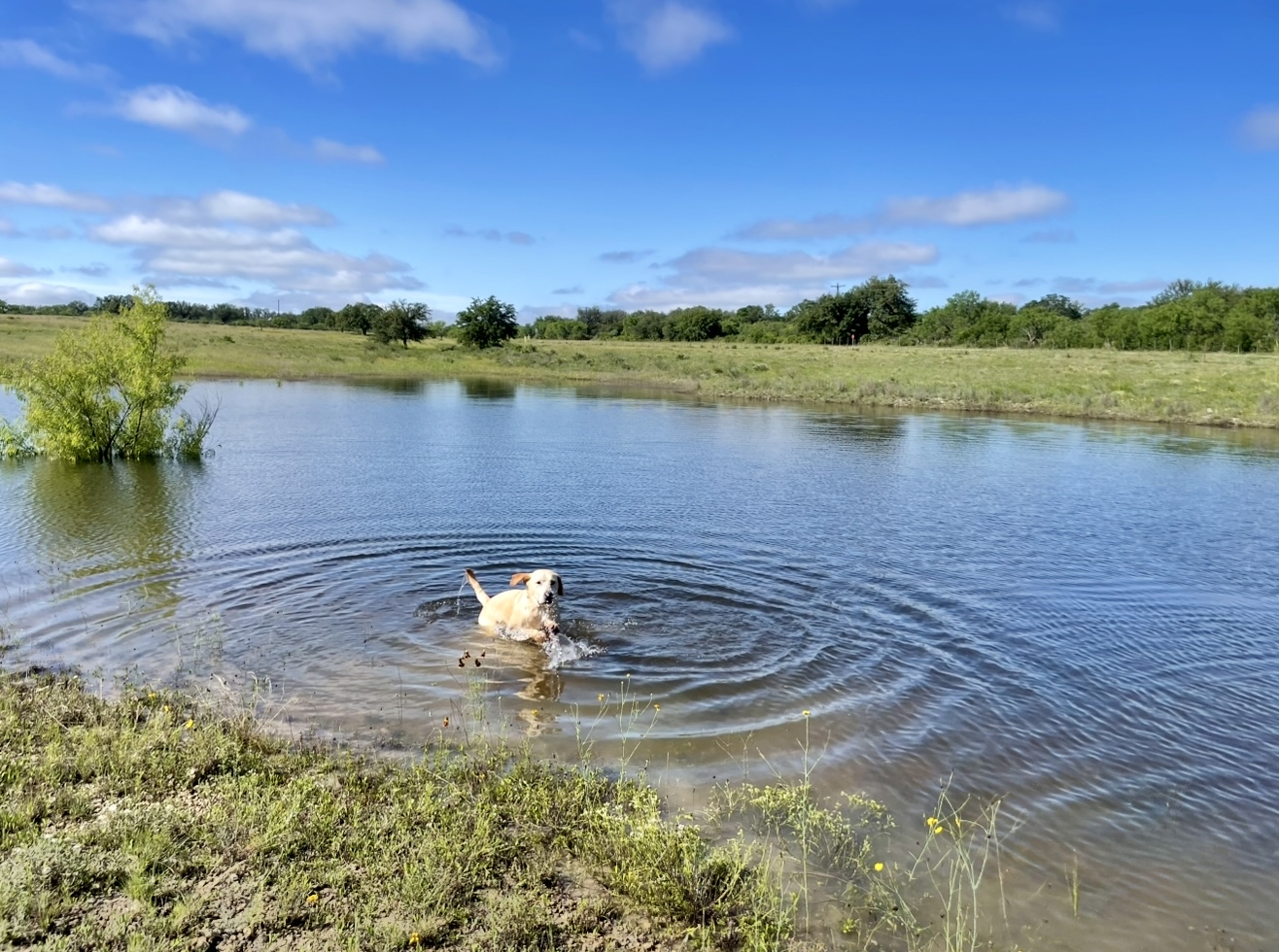1456 US Hwy 283 | Brady, TX | McCulloch County