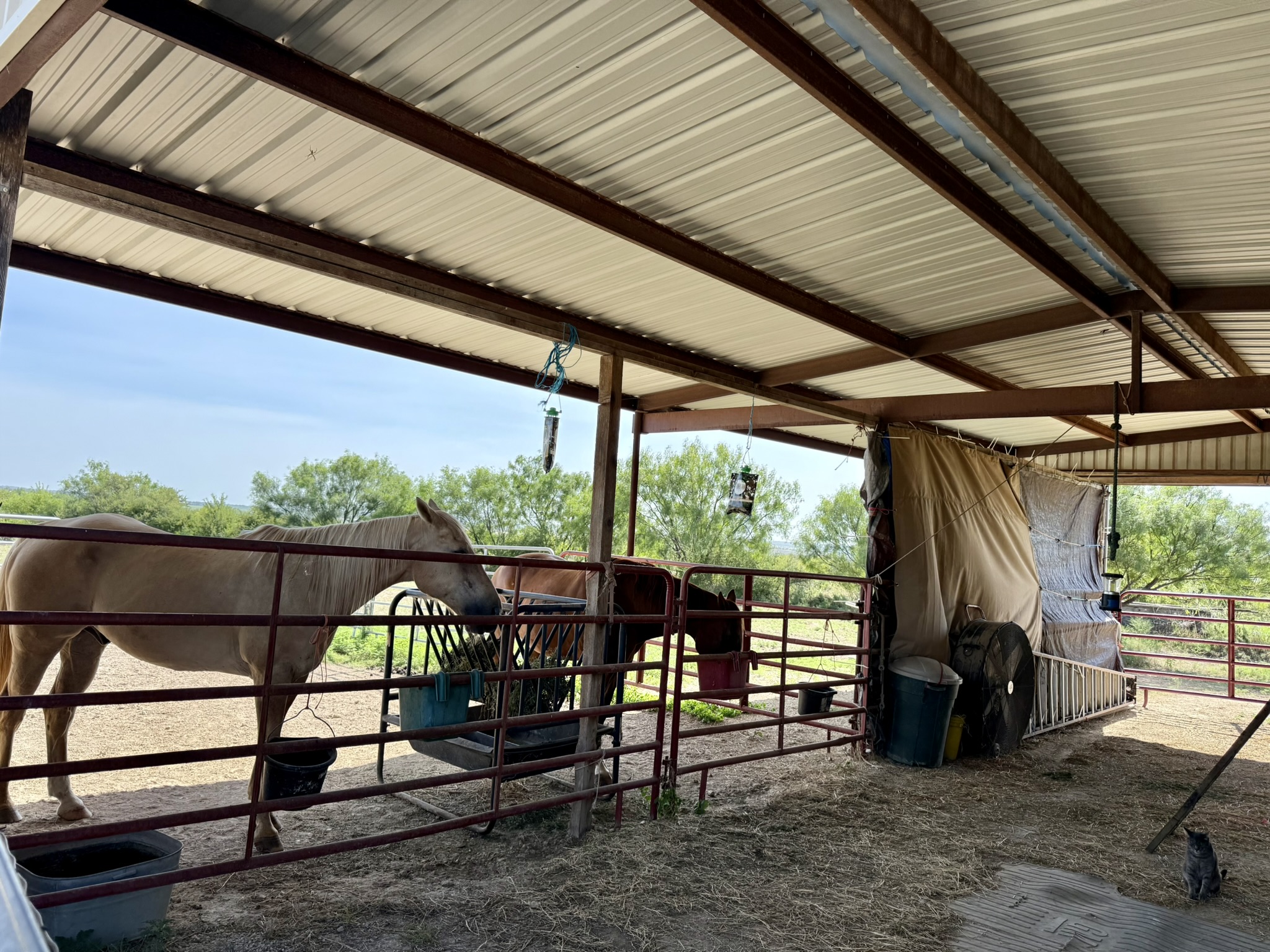 1456 US Hwy 283 | Brady, TX | McCulloch County