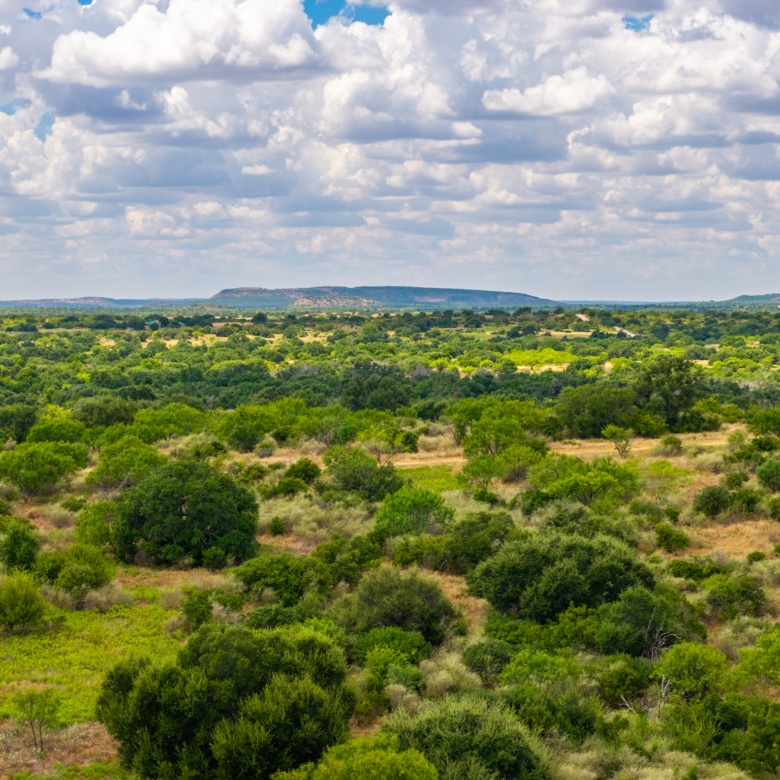 200± Acres | Llano County, Texas