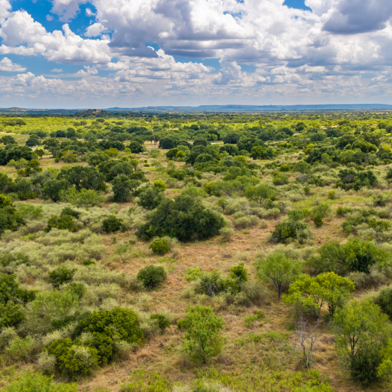 200± Acres | Llano County, Texas