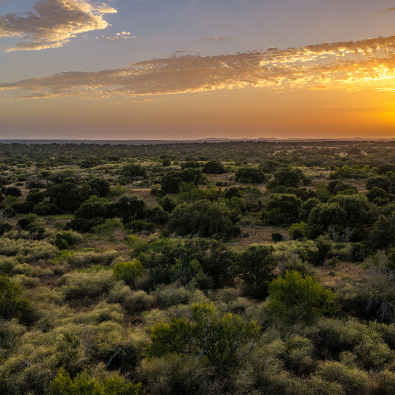 200± Acres | Llano County, Texas