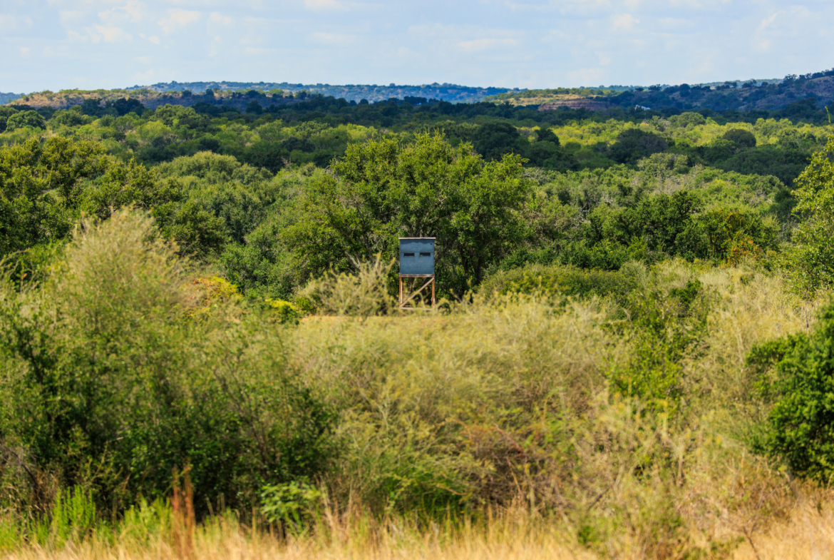 200± Acres | Llano County, Texas