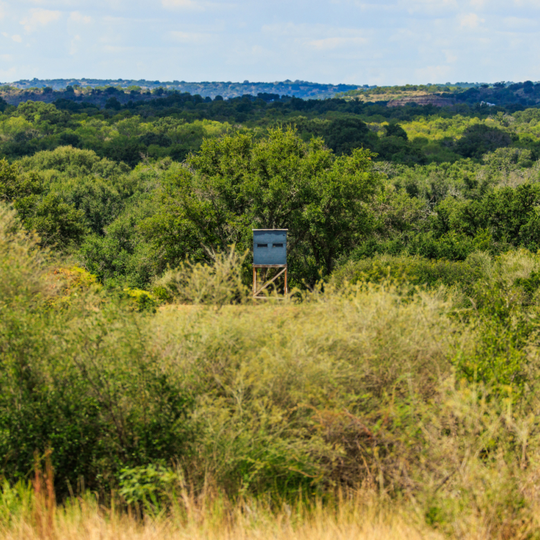 200± Acres | Llano County, Texas