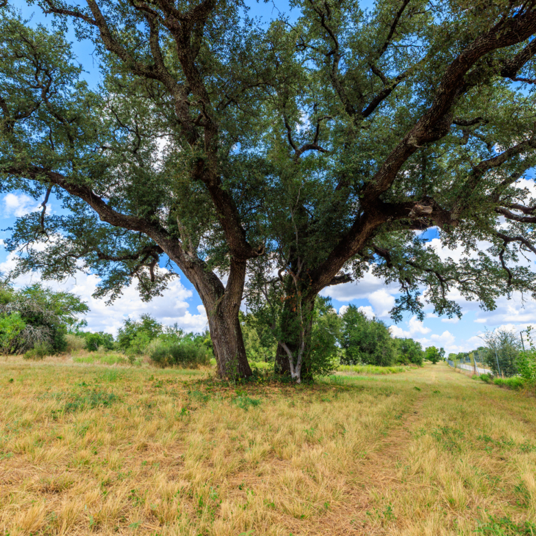 200± Acres | Llano County, Texas