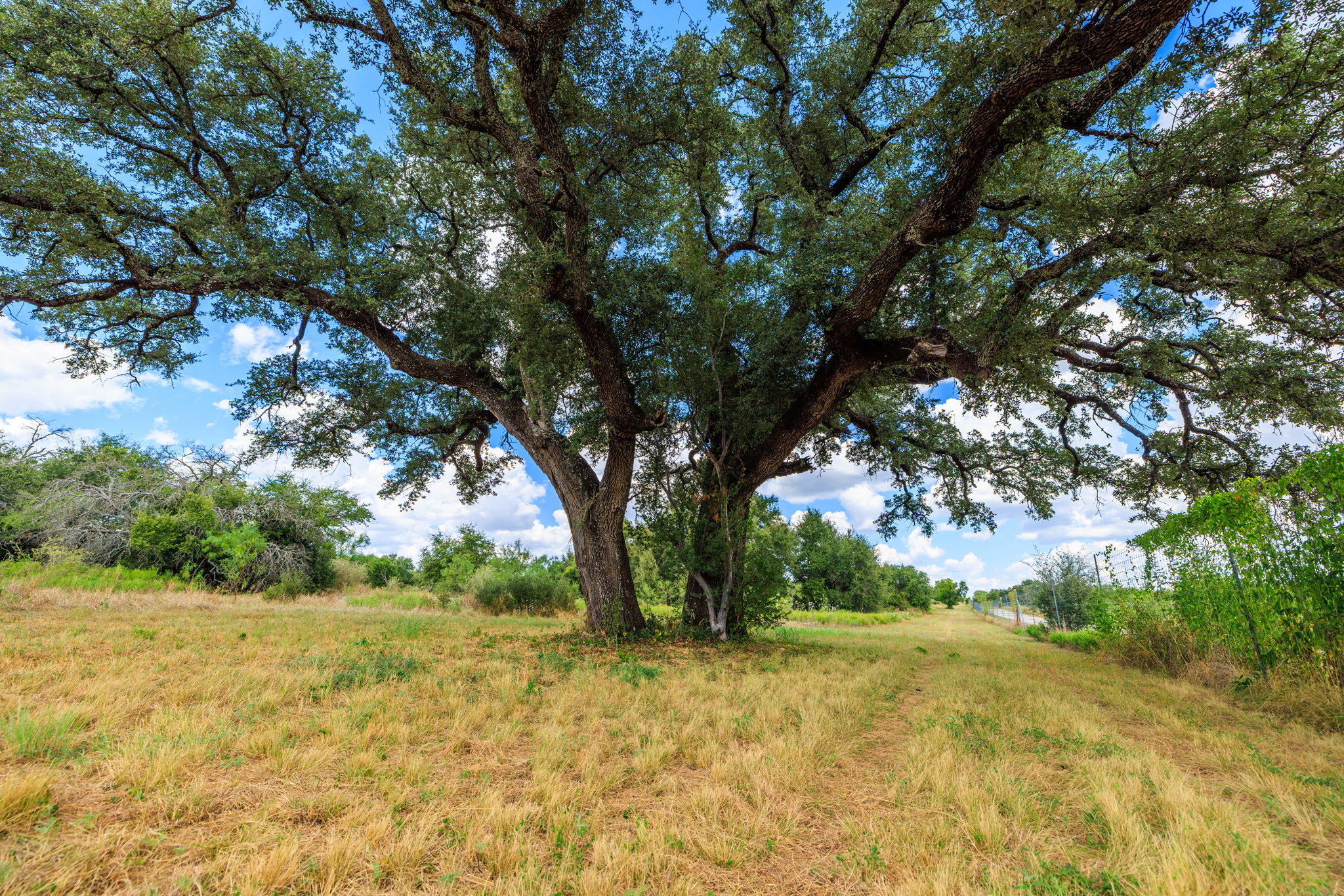 200± Acres | Llano County, Texas