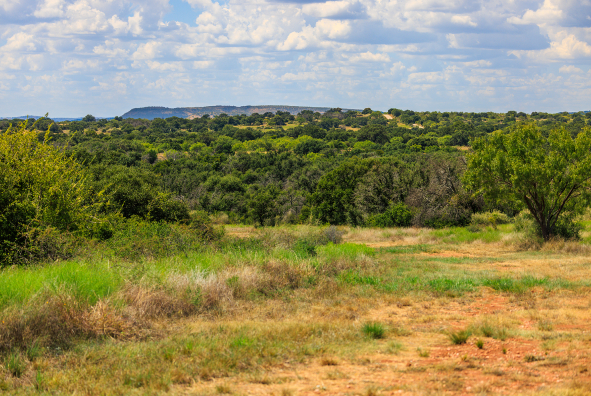 200± Acres | Llano County, Texas