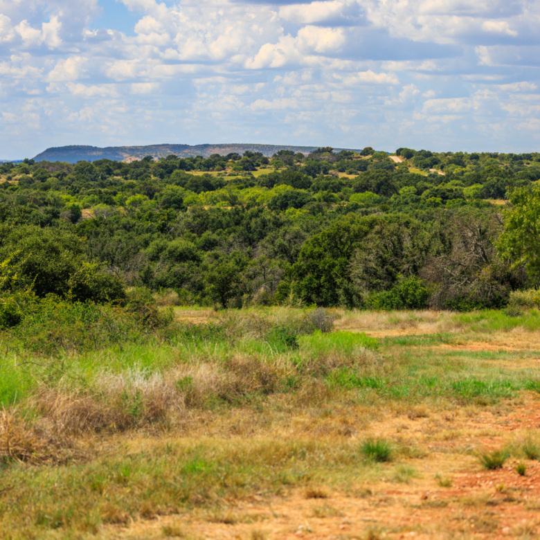 200± Acres | Llano County, Texas