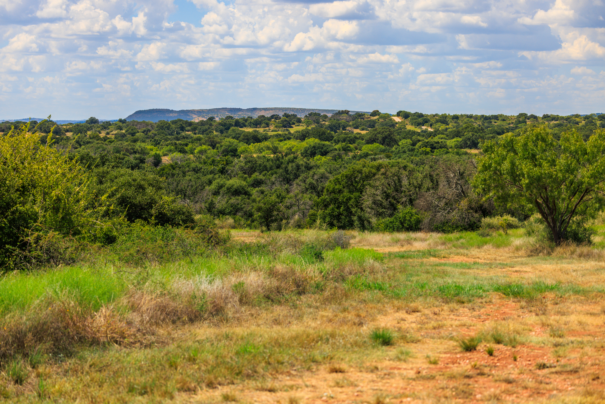 200± Acres | Llano County, Texas